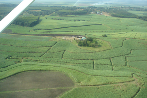 6932_1031984012.JPG